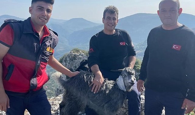 Mersin itfaiyesinden keçi kurtarma operasyonu