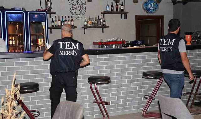 Mersin'de umuma açık 10 eğlence merkezine eş zamanlı denetim