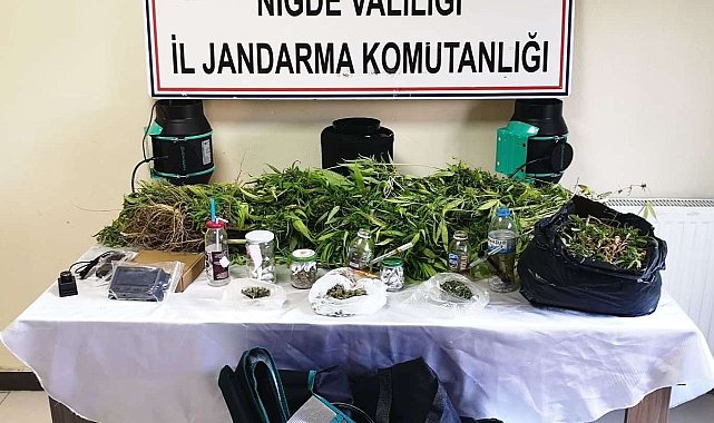 Niğde'de jandarmadan uyuşturucu operasyonu: 1 gözaltı