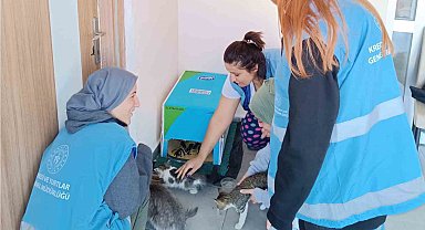 Öğrenciler kış öncesi sokak hayvanları için barınak yaptı