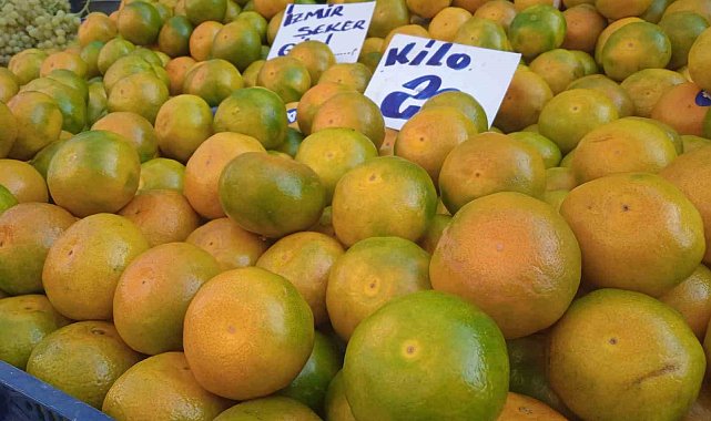 Pazarcının vitamin yönünden zengin mandalina satışından beklentisi yüksek