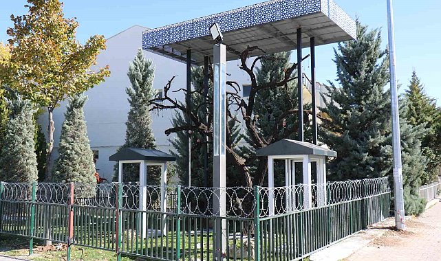 Şehitler Ağacı'ndan asker künyesi çalan kadın ve oğluna para cezası