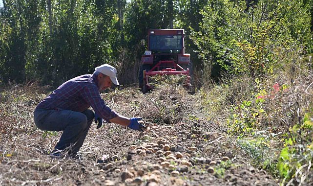 Selçuklu Belediyesi tarımsal üretime katkı sağlamaya devam ediyor