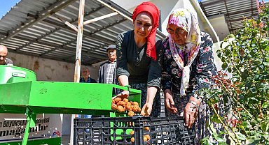 Silifkeli ceviz üreticilerinin kabuk soyma derdi sona erdi