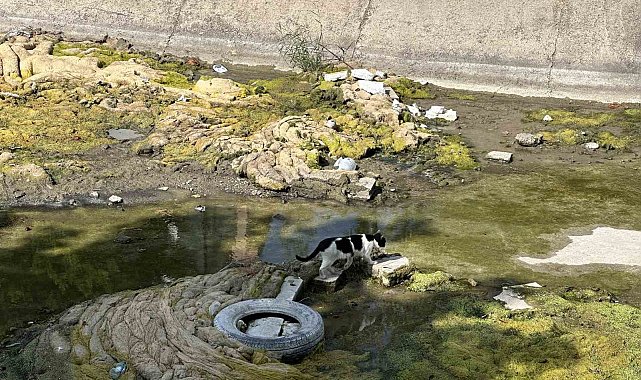 Suyu kesilen Porsuk Çayı'nda kirli görüntü dikkat çekiyor
