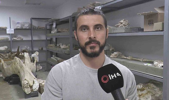 Taşhan kazılarında 'zürafa yılı'