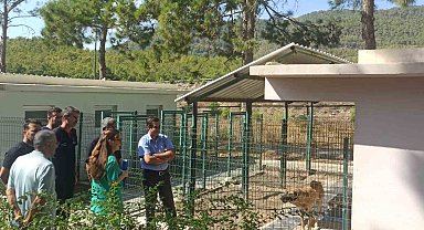 Topsakaloğlu: "Hayvanları koruma bilinci, toplumsal duyarlılık ve empati ile şekillenir"