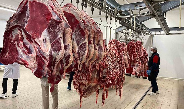 Türkiye'nin 81 ilinde gıda denetimleri eş zamanlı başladı