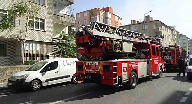 Yangında onlarca güvercin telef oldu