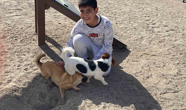 Zihinsel engelli çocuklara at ile terapi
