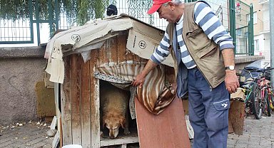 22 senedir beslediği kedilerin ve köpeği 'Tombik'in mamasını eksik etmiyor
