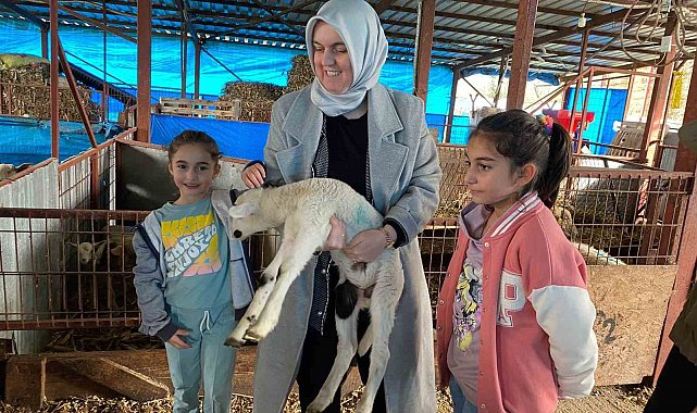 37 küçükbaş ile başladı şimdi 135 ulaştı