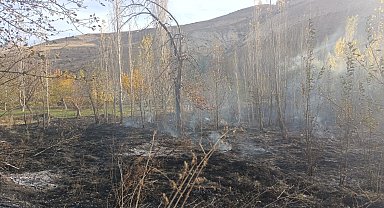 40 dönüm bahçe küle döndü, asırlık ceviz ağaçları yandı