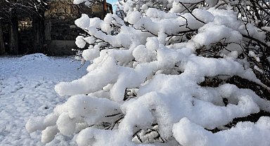 Ağrı'da 66 köy yolu kar nedeniyle ulaşıma kapandı