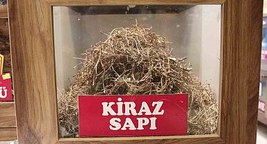 Aktar herkesin çöpe attığı kiraz sapının faydalarını anlattı