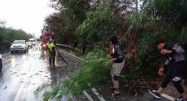 Antalya'da fırtına ağaçları devirdi, karayolunda trafik aksadı