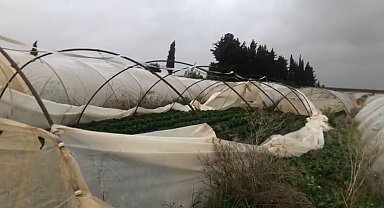 Antalya'da şiddetli yağmur ve fırtına çilek seralarına zarar verdi