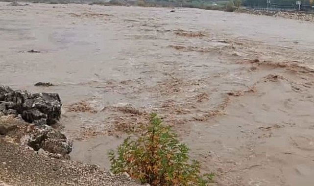 Aşırı yağış sonrası Dipni çayı coştu