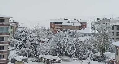 Aşkale'ye mevsimin ilk karı yağdı