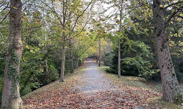 Atatürk Arboretumu'nda kartpostallık manzaralar