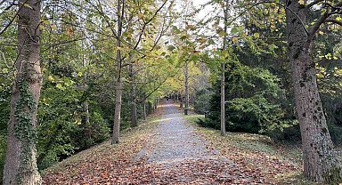 Atatürk Arboretumu'nda kartpostallık manzaralar