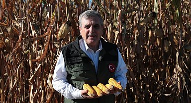 Atık su gübresi yüksek rekolte getirdi