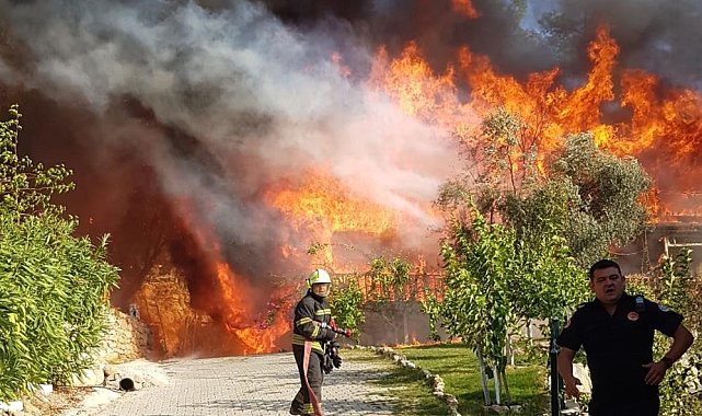 Aydın ve Muğla'da 819 hektar alan yandı