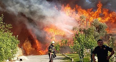 Aydın ve Muğla'da 819 hektar alan yandı