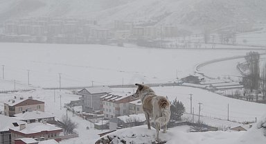 Bayburt'un yüksek kesimlerinde kar yağışı etkili oldu