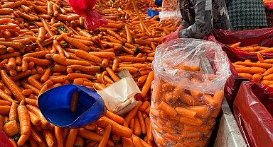 Beypazarı'nda kışlık havuç hasadı başladı
