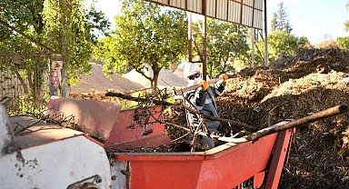 Bitki atıkları vatandaşlar ve çiftçilere yakıt olarak dönecek