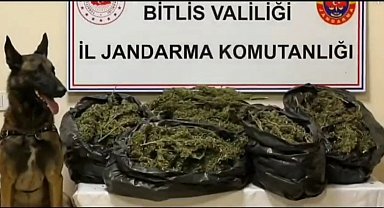 Bitlis'te 10 kilo 200 gram skunk maddesi ele geçirildi