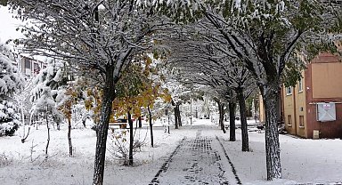 Bitlis'te kar yağışı