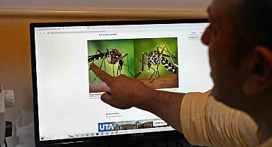 Böcek profesöründen 'sivrisinek' uyarısı: Kış uykusuna yatmadılar, kan emmeye devam ediyorlar