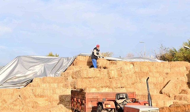 Büyükşehir'den küçük üreticiye ot balyası desteği