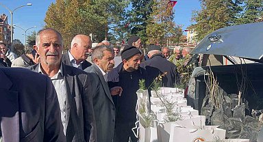 Camilerde vatandaşlara 2 bin fidan dağıtıldı