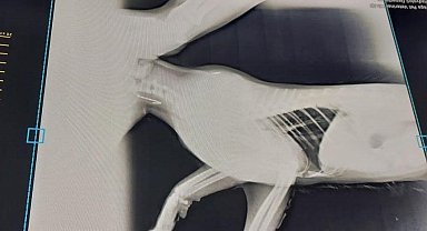 Çanakkale Belediyesi'nden olta balıkçılarına uyarı