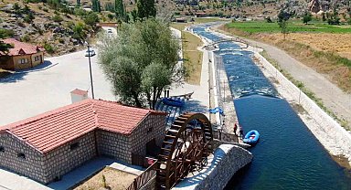 Çölyak hastaları için karabuğday unu üretiliyor