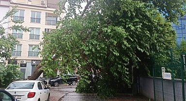 Denizli'ye kuvvetli rüzgar ve fırtına uyarısı