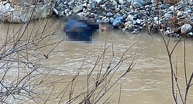 Diyarbakır'da çırpı toplamaya giden kadın derede boğuldu