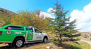 Durdurulan araçtan ölü kuşlar çıktı, araç sahibine 71 bin ceza yazıldı