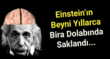 Einstein’ın Öldükten Sonra Çalınan Beyninin İlginç Hikayesi