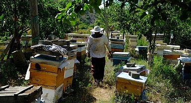 Erzincan'da arıların "tatlı uykusu" başlıyor