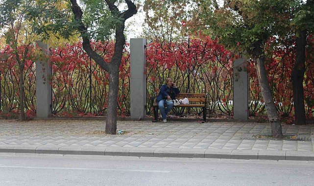 Eskişehir'de renkli yaprakların uyumlu görüntüsü dikkat çekiyor