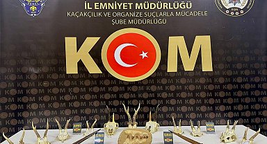 Evden tarih çıktı