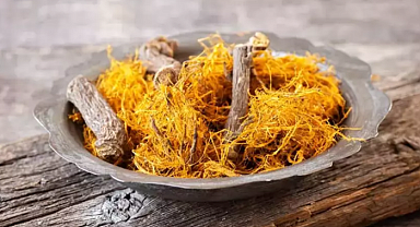 Evliya Çelebi'den '70 derdin devası'! Geleneksel Çin tıbbında reçete ediliyor! Fayda etmediği hastalık yok