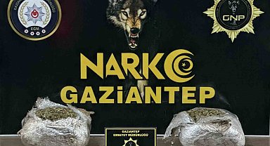 Gaziantep'te 1.5 kilogram skunk ele geçirildi