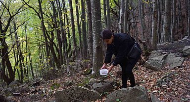 Gençler doğa için yürüdü