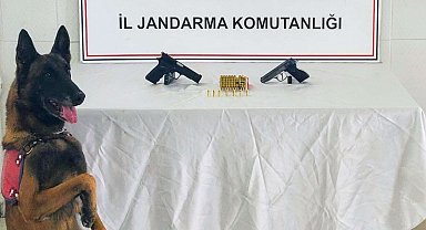 Gümüşhane'de ruhsatsız tabanca ve kaçak alkol operasyonunda 2 kişi yakalandı