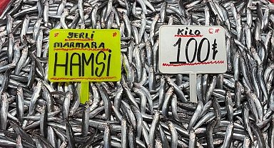 Hava soğudu, hamsi bollaştı